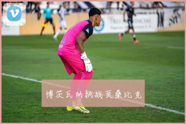 博茨瓦纳挑战莫桑比克