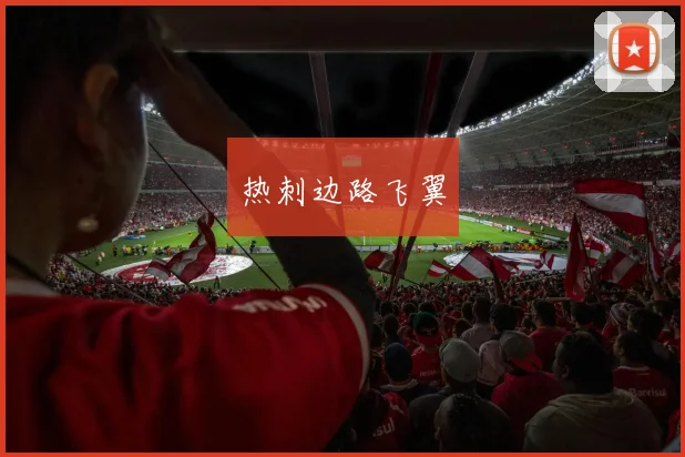 热刺边路飞翼