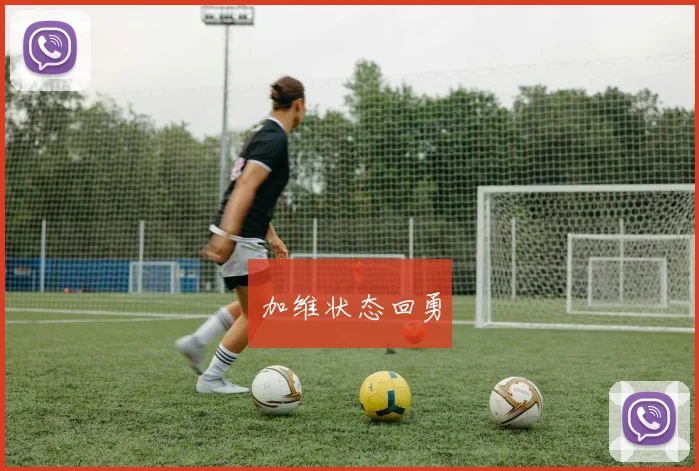 加维状态回勇