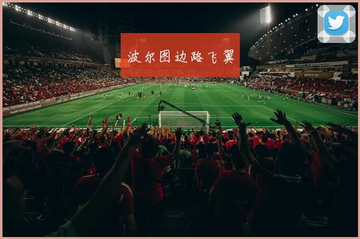 波尔图边路飞翼