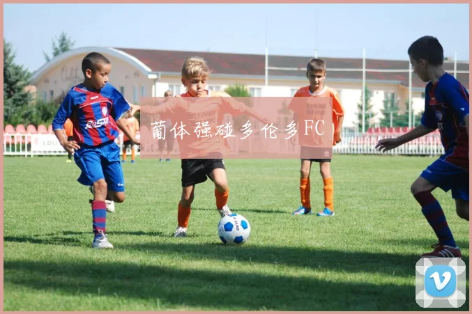 葡体强碰多伦多FC