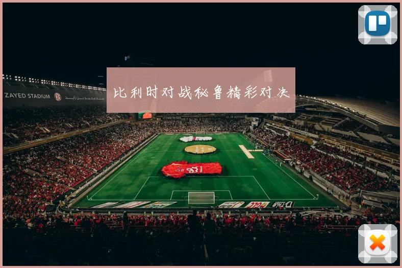比利时对战秘鲁精彩对决