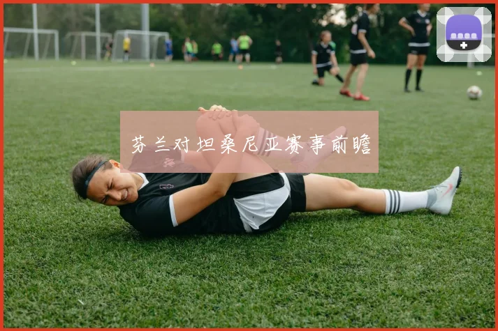 芬兰对坦桑尼亚赛事前瞻
