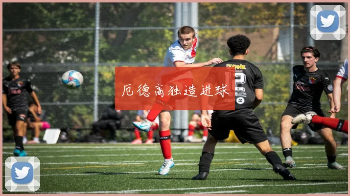 厄德高独造进球