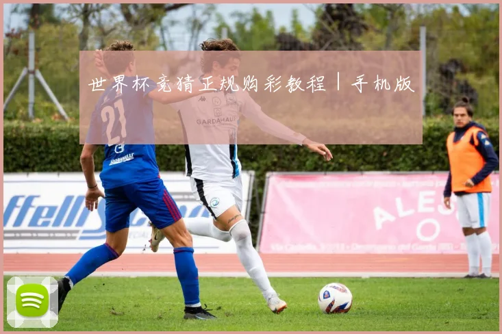 世界杯竞猜正规购彩教程｜手机版