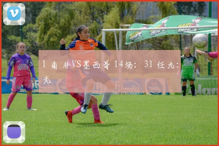 1 南 非VS墨西哥 14场：31 任九：无