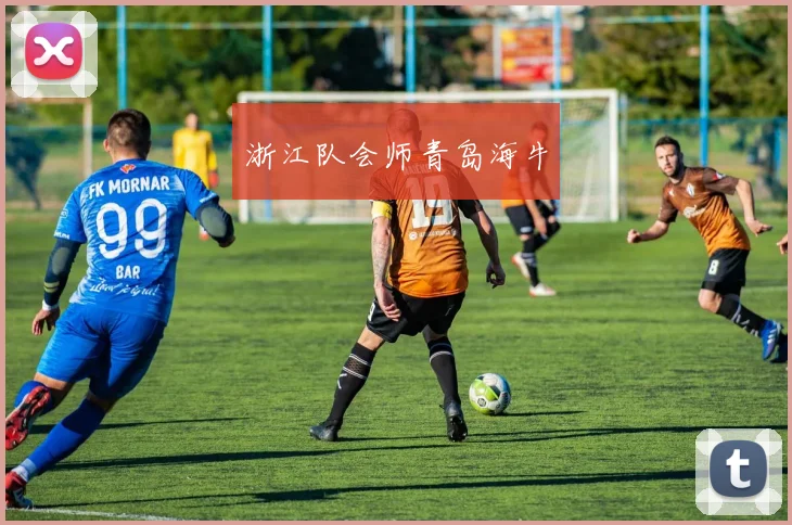 浙江队会师青岛海牛