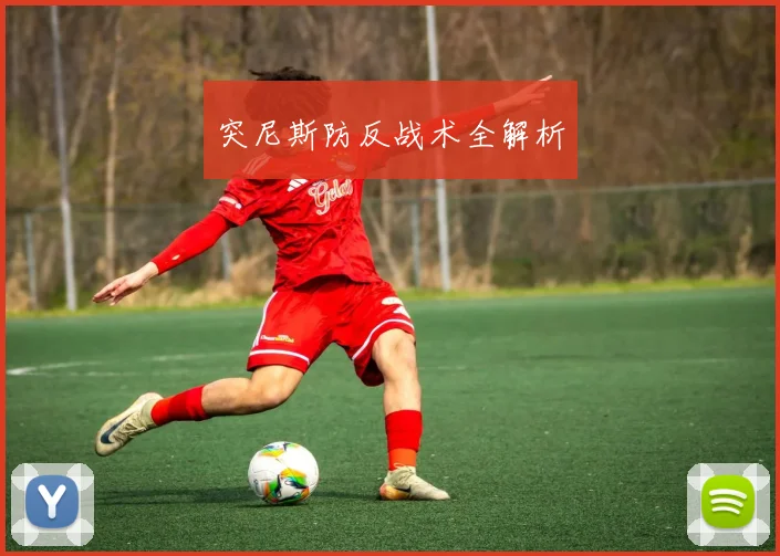 突尼斯防反战术全解析