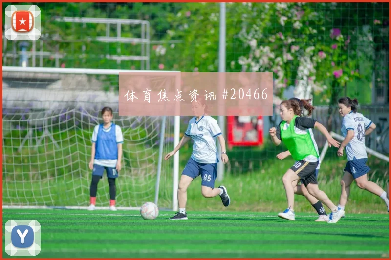 费内巴切全解析:竞技传统如何介绍冠军文化