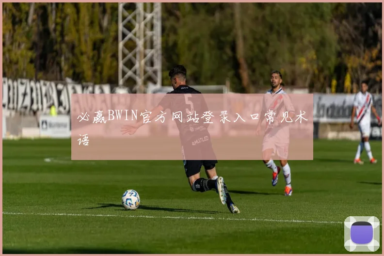 必赢BWIN官方网站登录入口常见术语